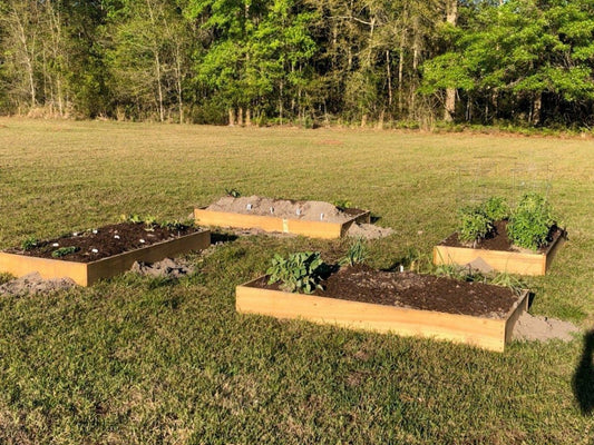 Gardening is truly and art form, starting our first garden ever this year! - Griffin Furniture
